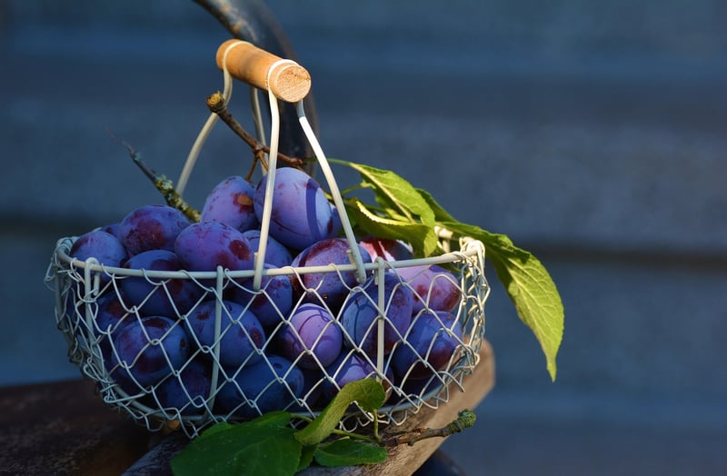 Tropical Fruit